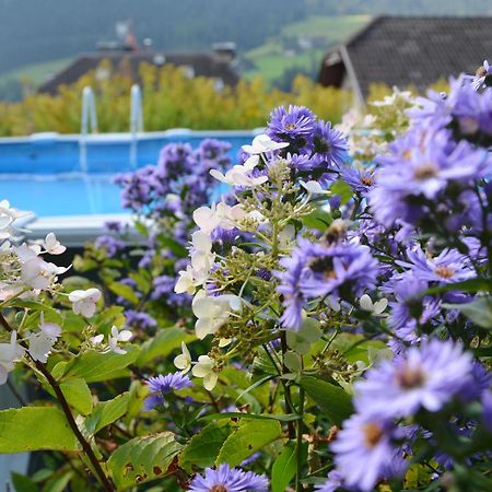 Appartchalet La Rondula Ortisei Luaran gambar