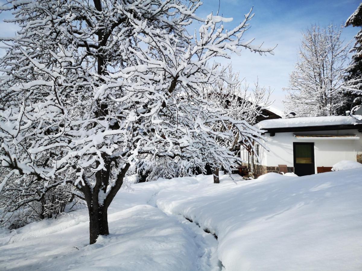 Appartchalet La Rondula Ortisei Luaran gambar